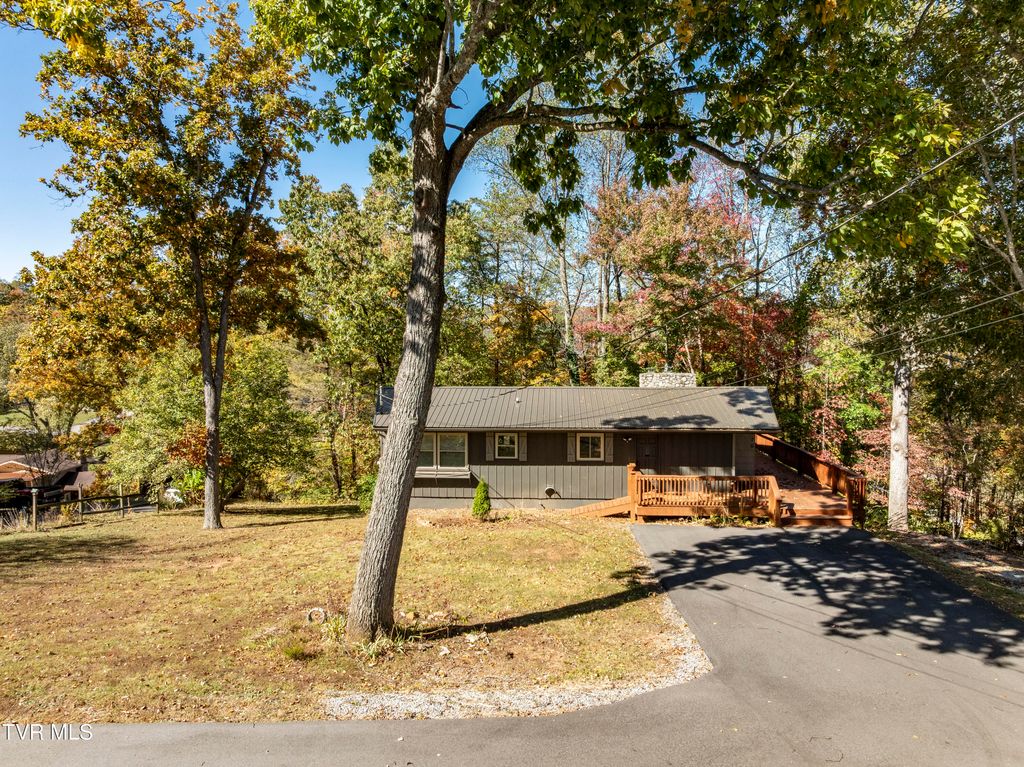 Photo of 170 Diana Avenue, Erwin, TN 37650 (MLS # 9987444)