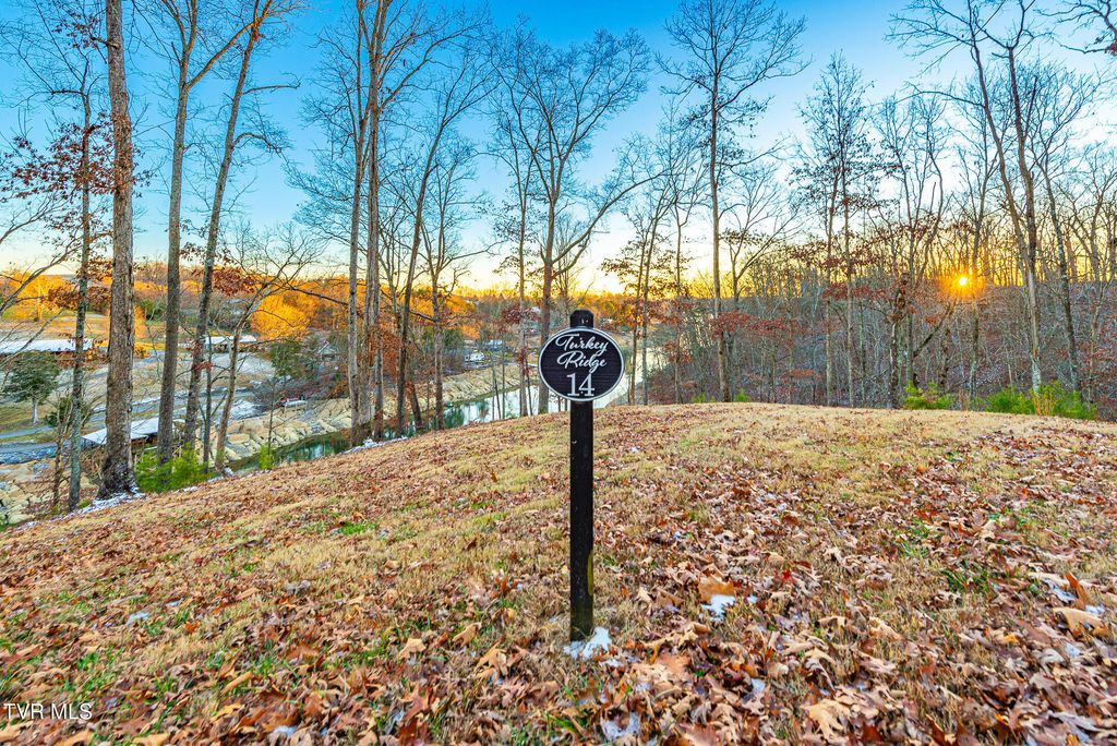 Photo of 2294 Turkey Ridge Lane, Piney Flats, TN 37686 (MLS # 9989330)