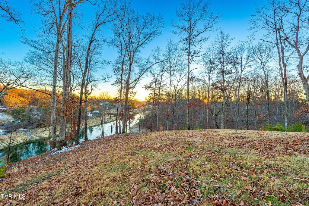 Photo of 2294 Turkey Ridge Lane, Piney Flats, TN 37686 (MLS # 9989330)