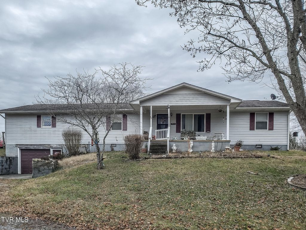 Photo of 61 Rattlesnake Ridge Road, Chuckey, TN 37641 (MLS # 9988915)