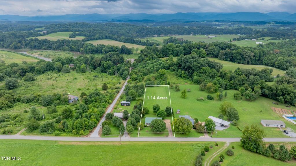 Photo of 1520 Ripley Island Road, Afton, TN 37616 (MLS # 9998690)