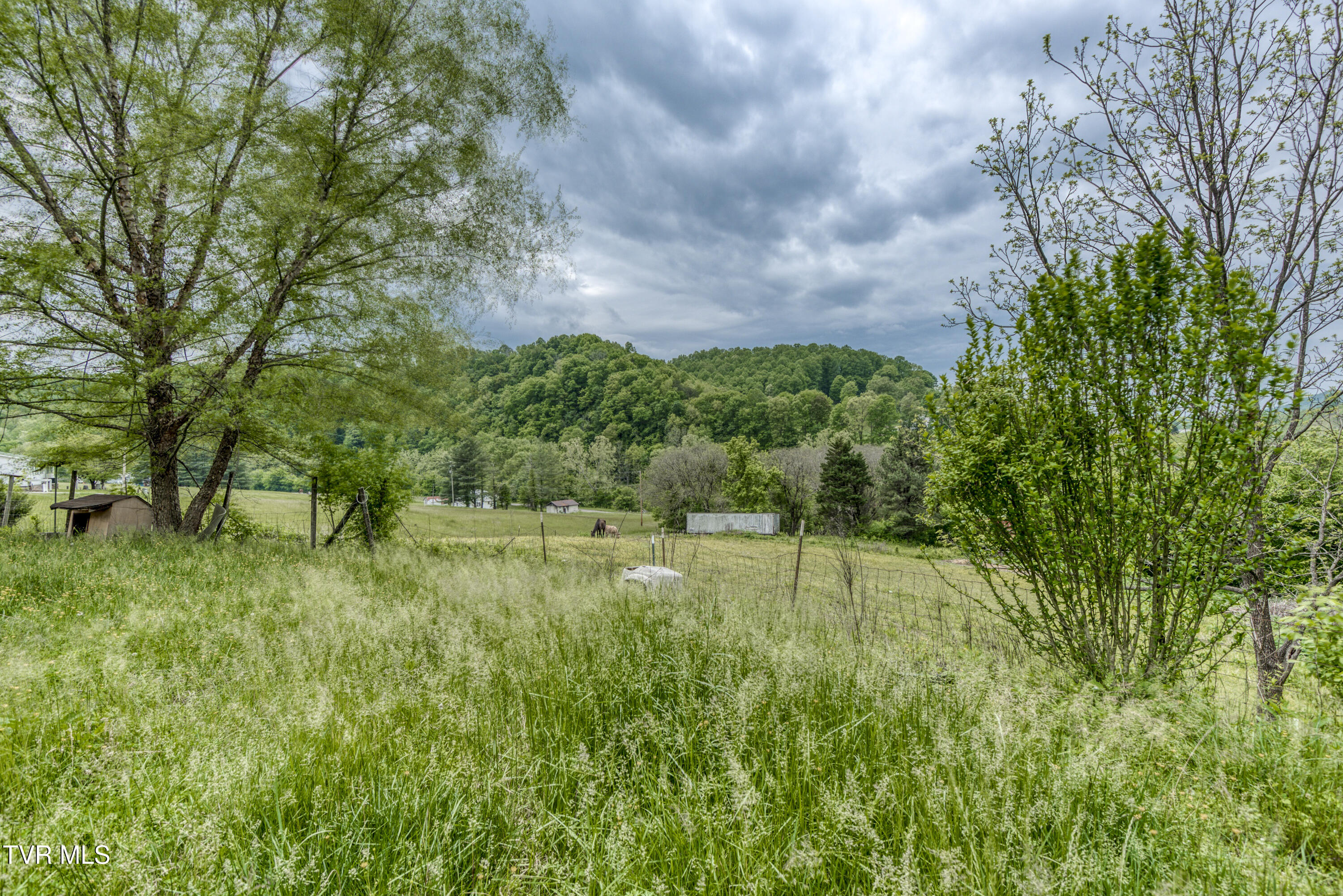 1659 Lungsford Mill Rd Road, Hiltons, Virginia image 32