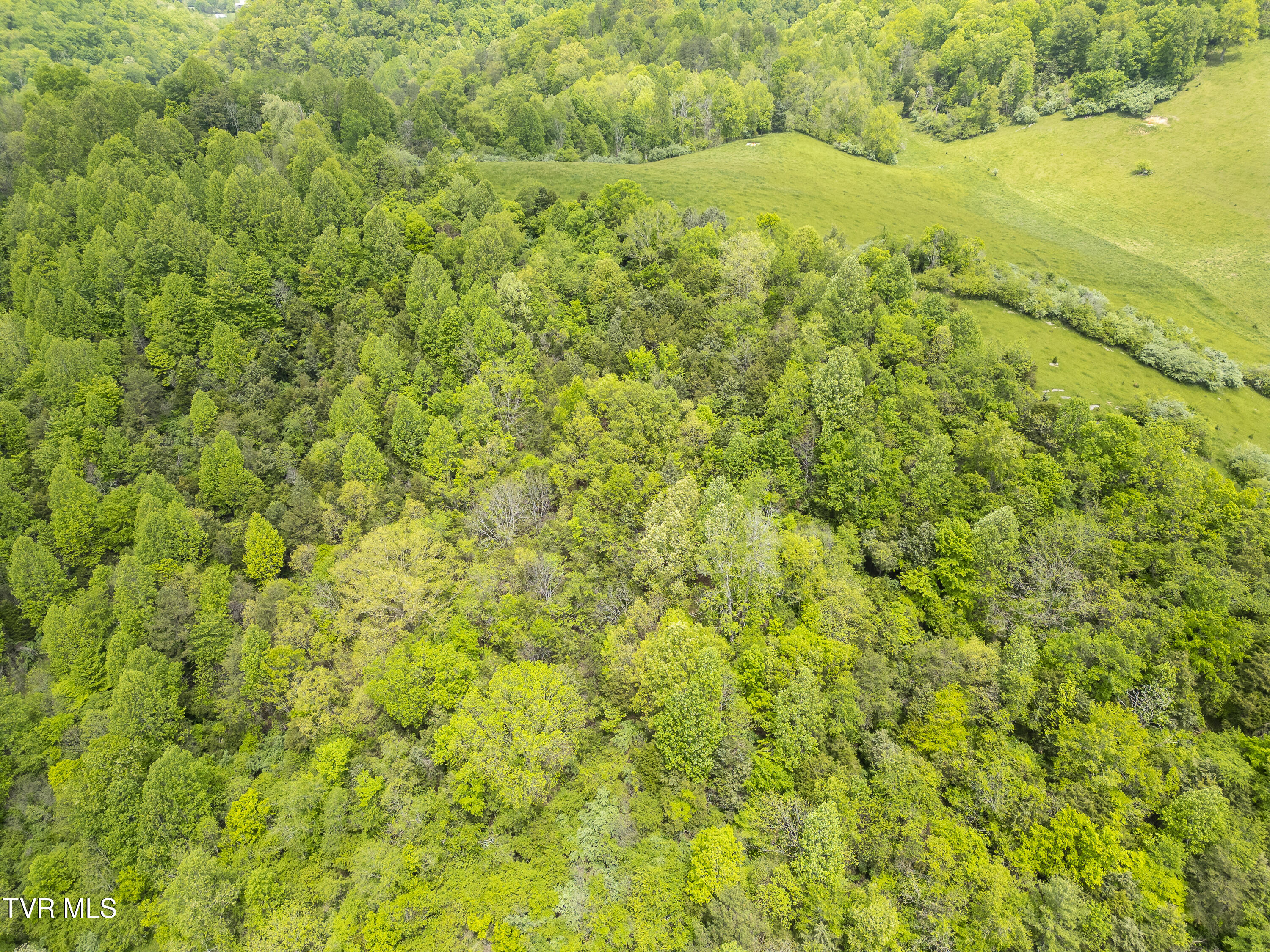 1659 Lungsford Mill Rd Road, Hiltons, Virginia image 12