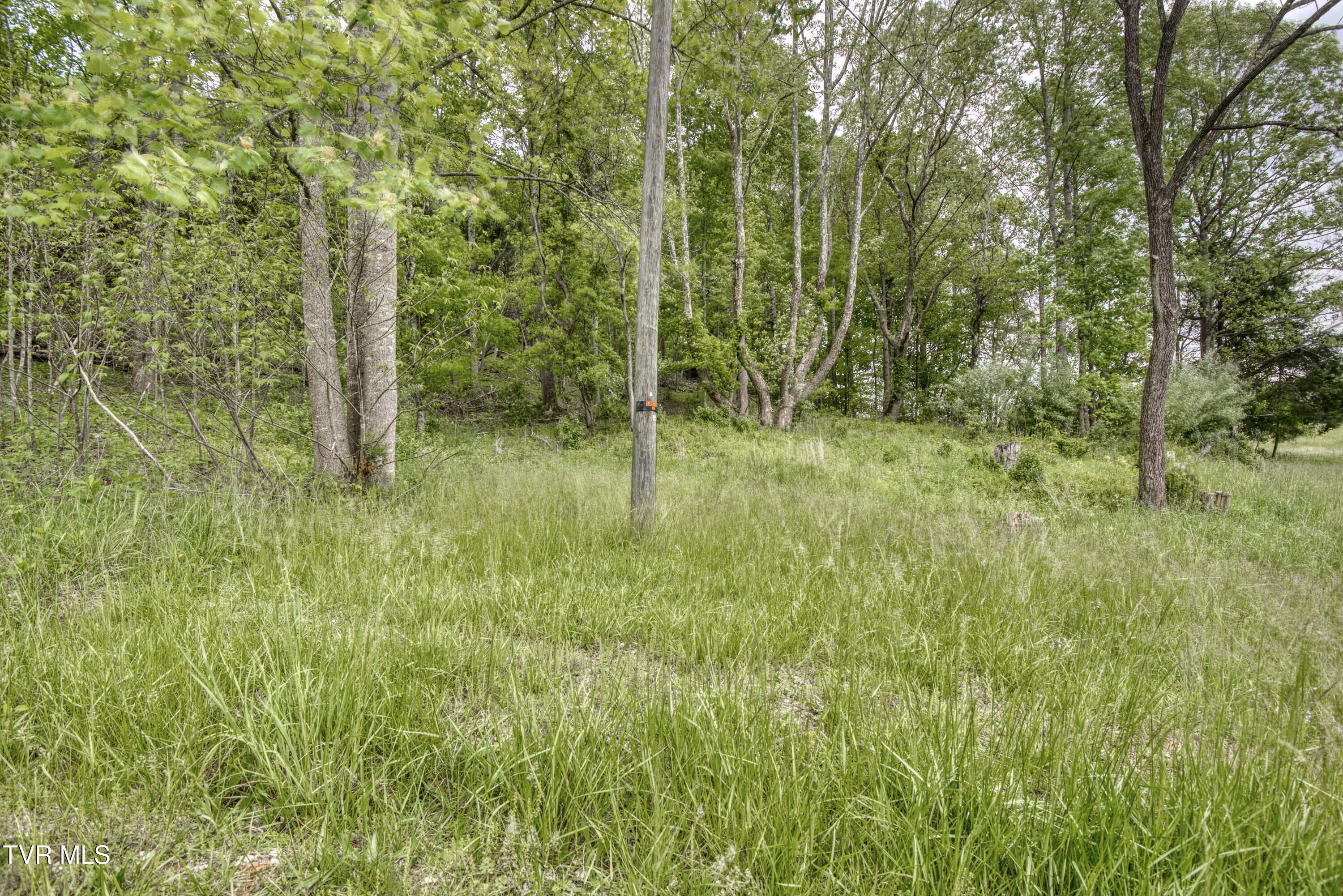 1659 Lungsford Mill Rd Road, Hiltons, Virginia image 33