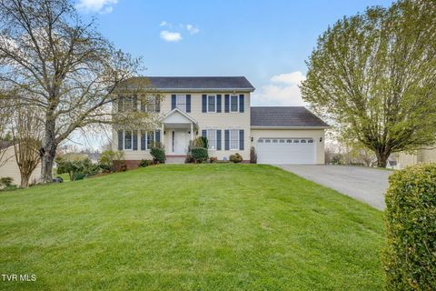 Photo of 135 Brittany Drive, Gray, TN 37615 (MLS # 9992946)