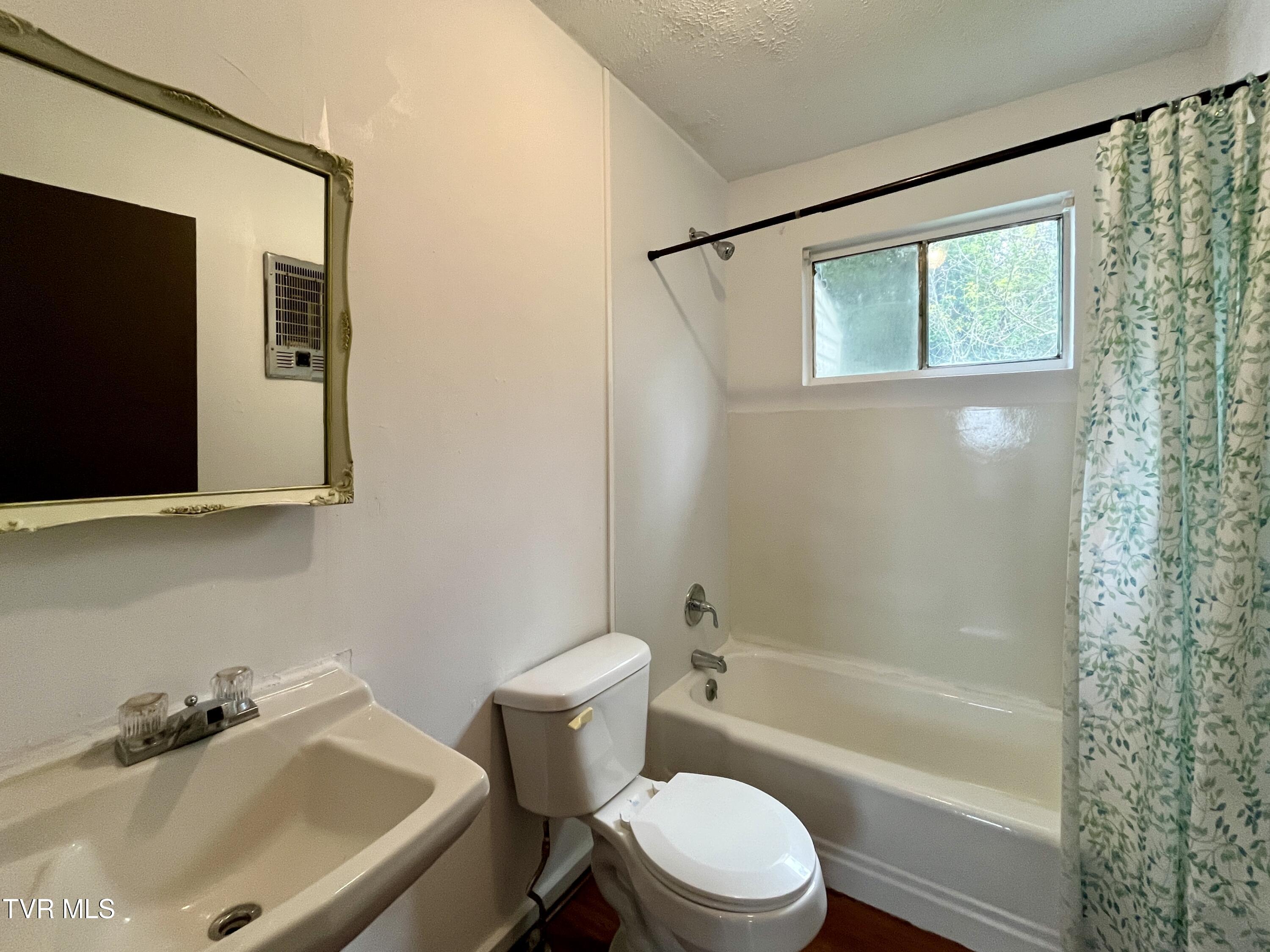 318 Leonard Street, Greeneville, Tennessee image 7