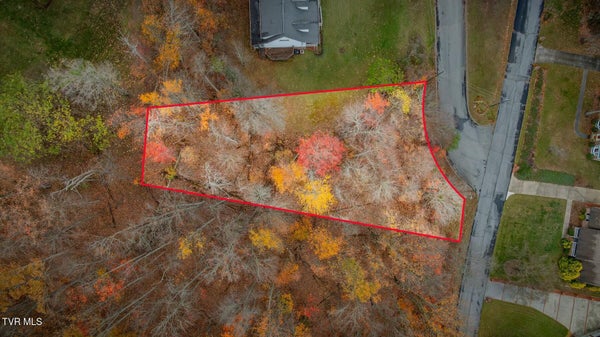 TBD OAK FOREST (LOT 24) PLACE, KINGSPORT, TN 37664 - Image 68b4406d9bbaaaa4a7e2a4588c4b0a95/66424383
