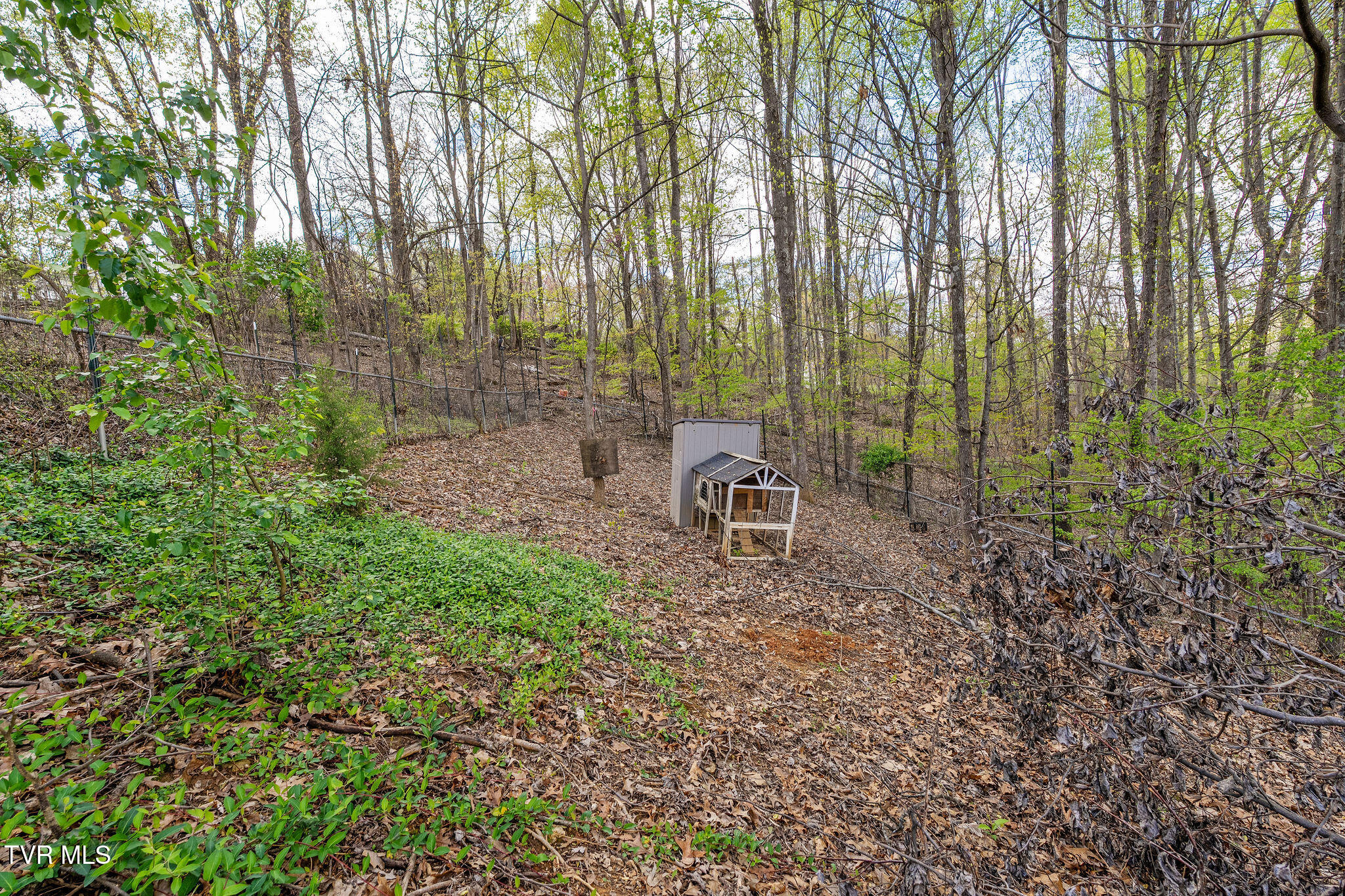 1606 Sky View Drive, Kingsport, Tennessee image 23