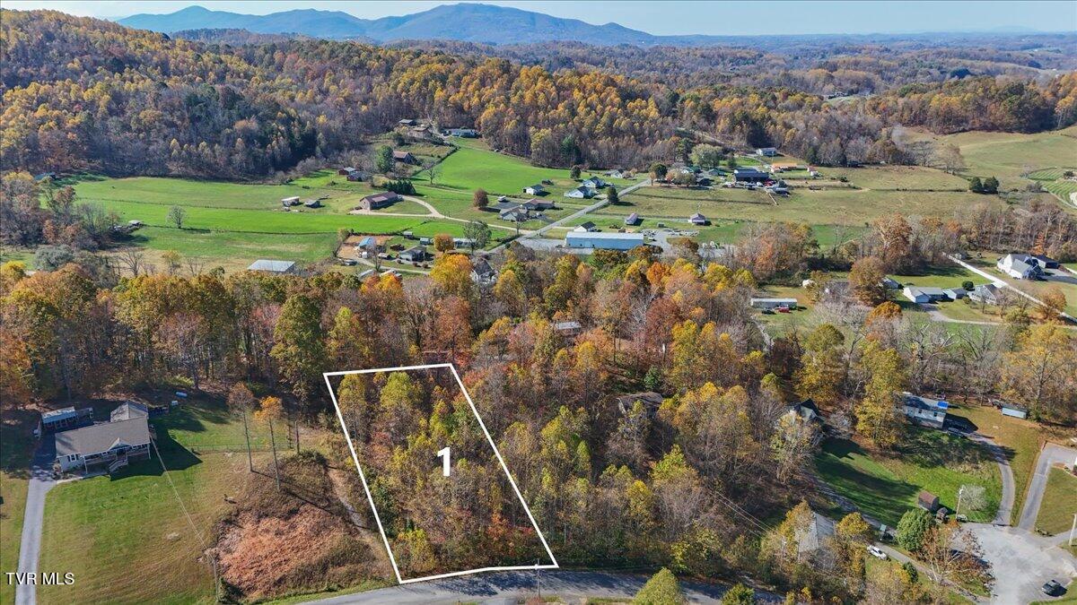 Lot 1 Emerald Hills Drive, Elizabethton, Tennessee image 3