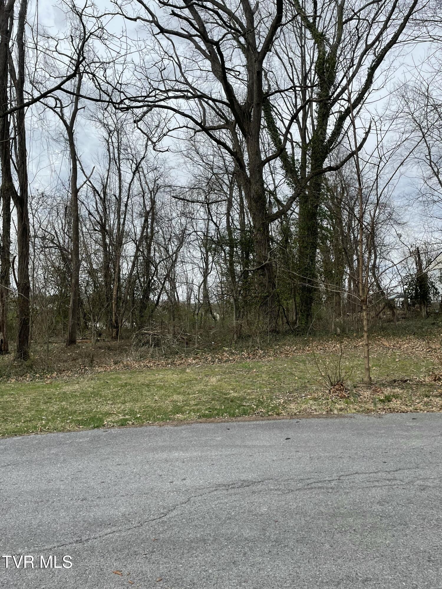 .46 Ac Ridgemont Drive, Greeneville, Tennessee image 8
