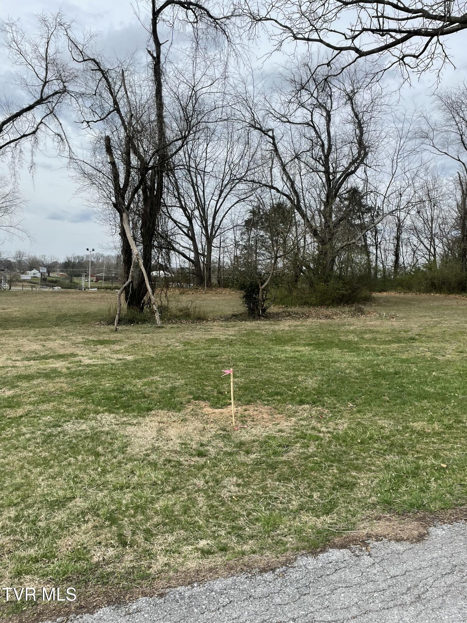 .46 Ac Ridgemont Drive, Greeneville, Tennessee image 5