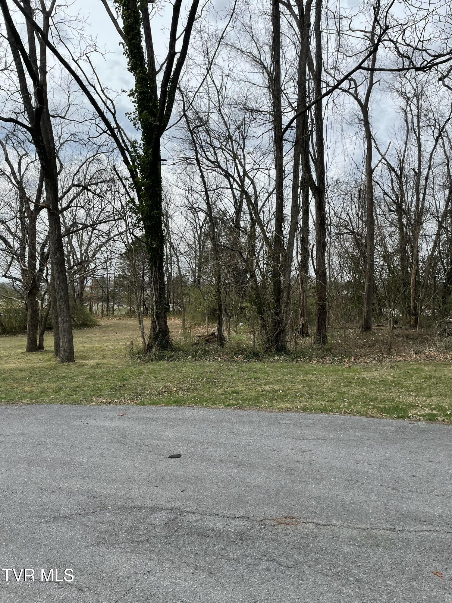 .46 Ac Ridgemont Drive, Greeneville, Tennessee image 10