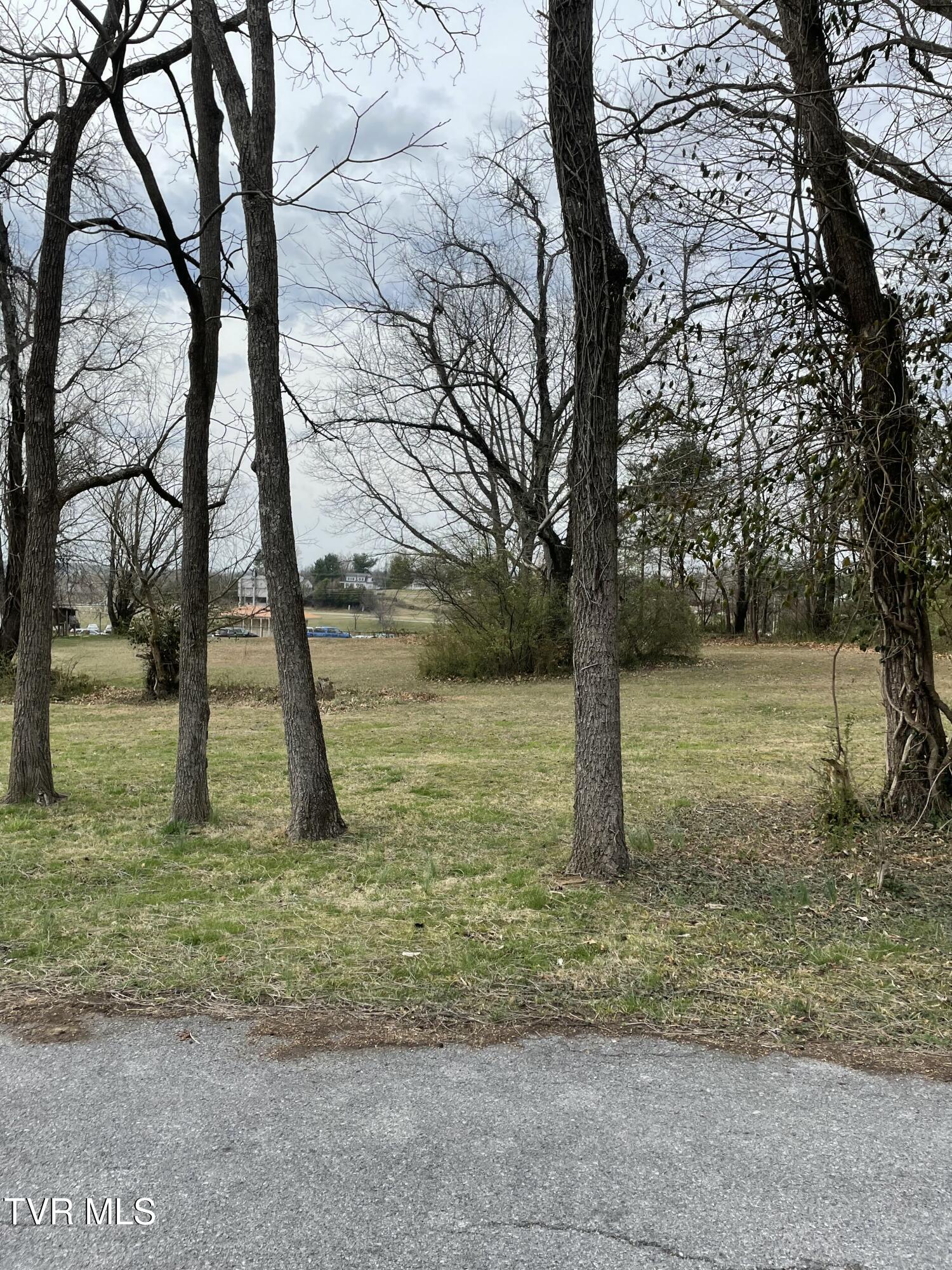 .46 Ac Ridgemont Drive, Greeneville, Tennessee image 6