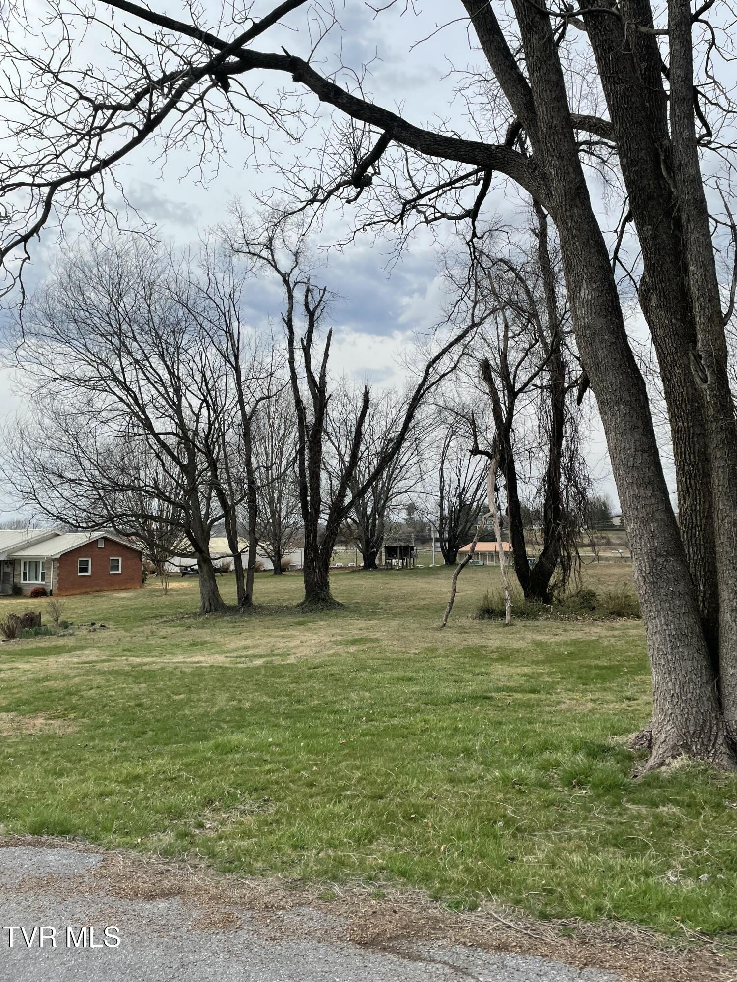 .46 Ac Ridgemont Drive, Greeneville, Tennessee image 7