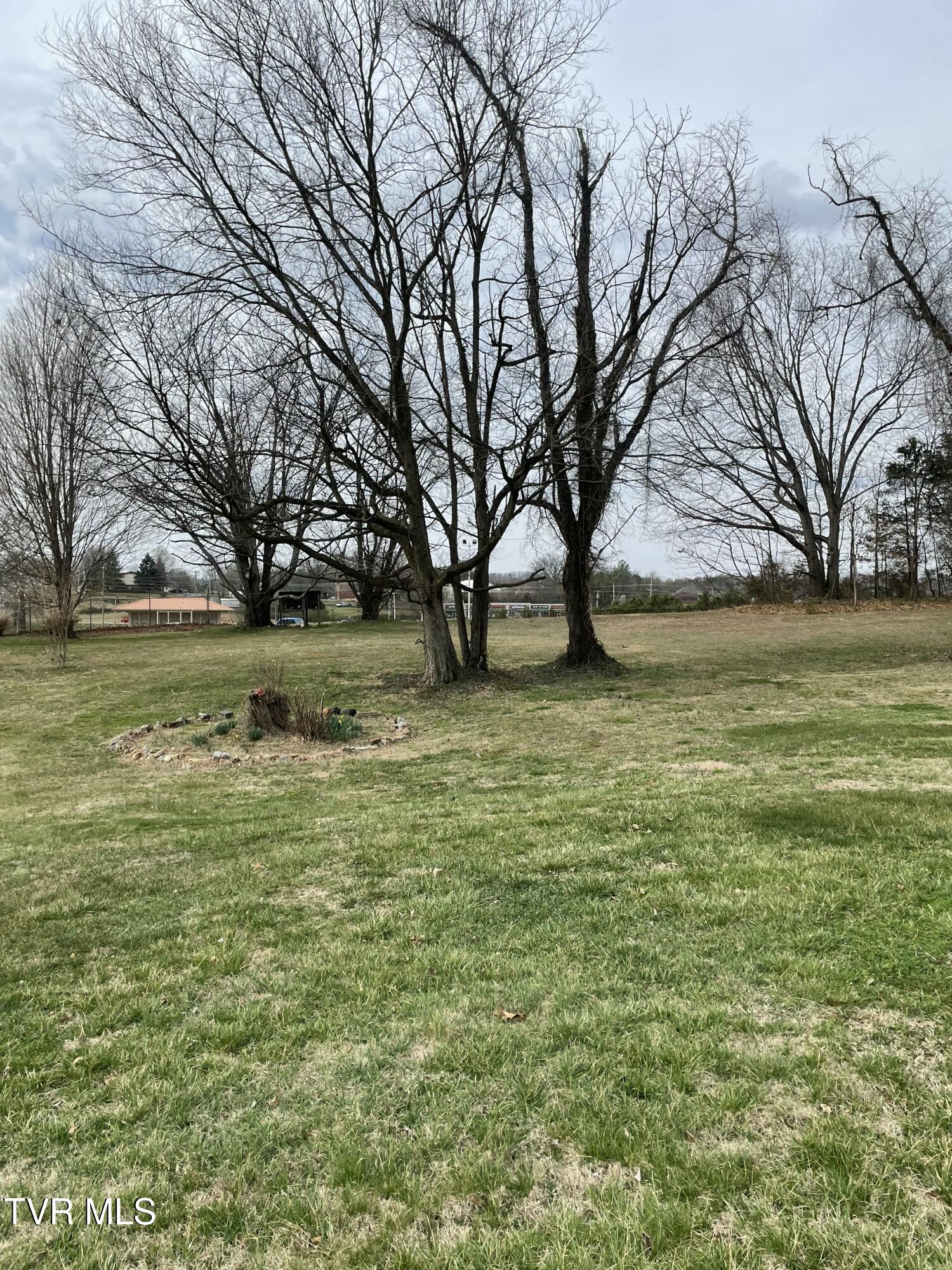 .46 Ac Ridgemont Drive, Greeneville, Tennessee image 2