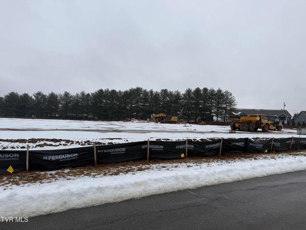 Photo of 205 Presidential Drive #10, Jonesborough, TN 37659 (MLS # 9990807)