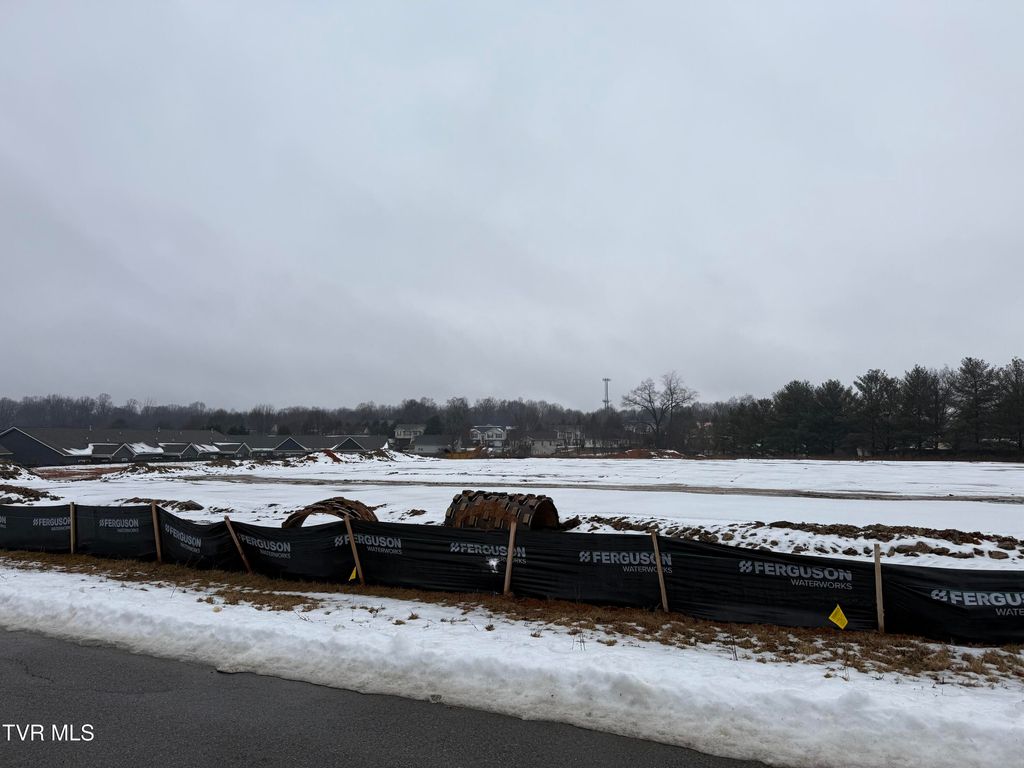 Photo of 205 Presidential Drive #10, Jonesborough, TN 37659 (MLS # 9990807)