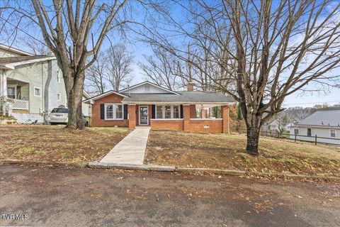 Photo of 1023 Carolina Avenue, Bristol, TN 37620 (MLS # 9989260)