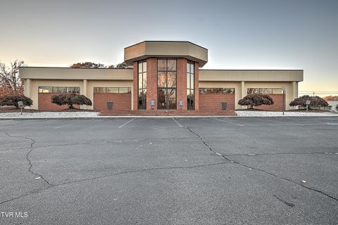 411 Princeton Road Johnson City TN 37601