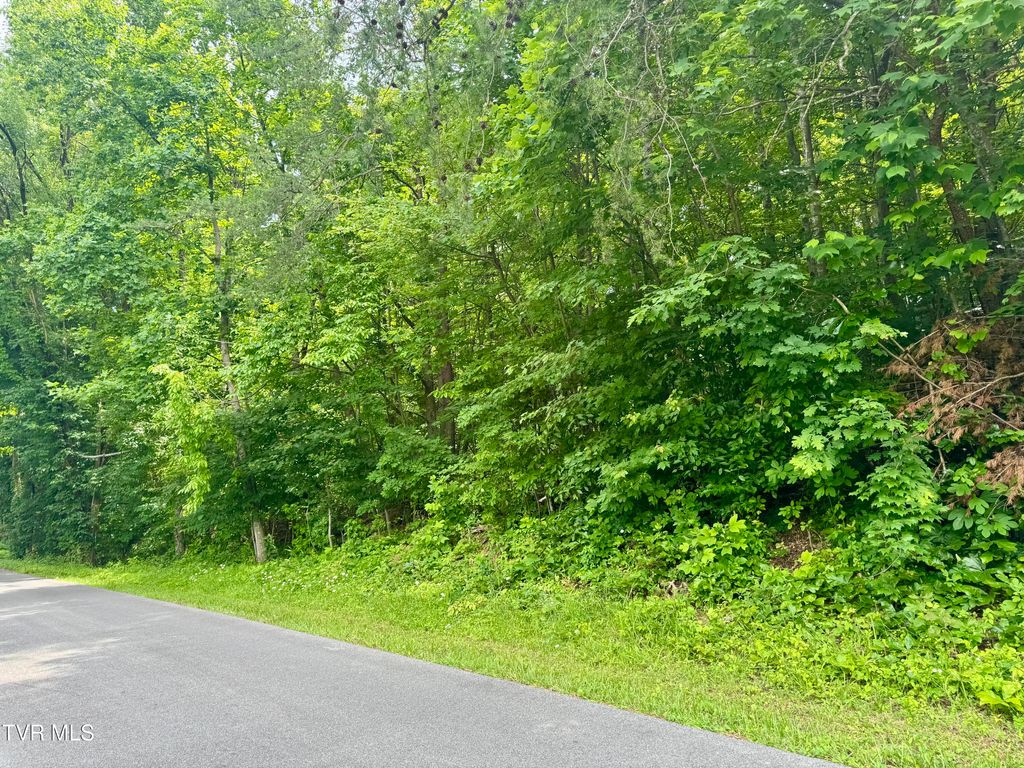 Photo of 21 Country Drive, Kingsport, TN 37664 (MLS # 9995245)