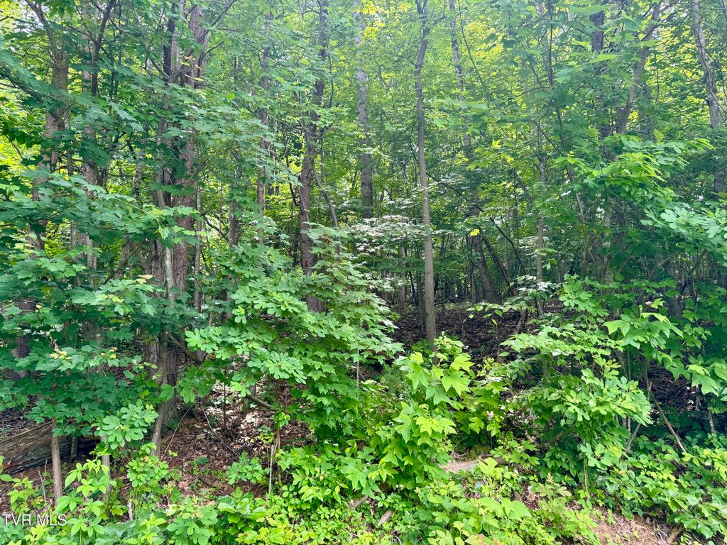 Photo of 21 Country Drive, Kingsport, TN 37664 (MLS # 9995245)