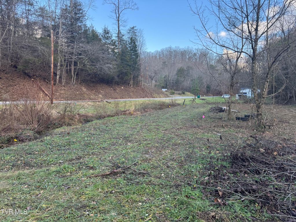 Photo of 901 Old Blairs Gap Road, Kingsport, TN 37660 (MLS # 9974695)