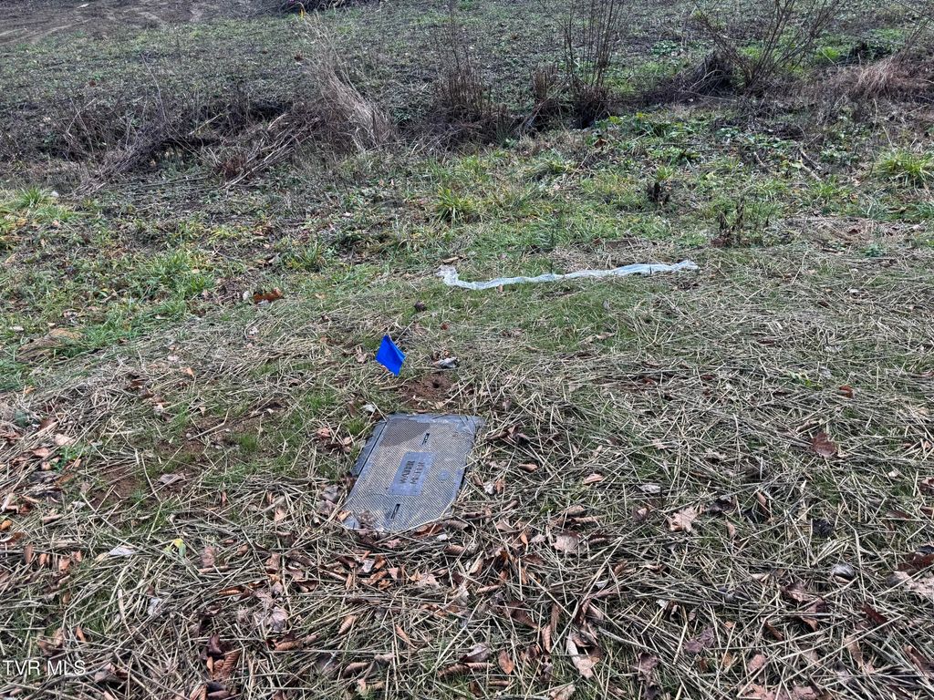 Photo of 901 Old Blairs Gap Road, Kingsport, TN 37660 (MLS # 9974695)