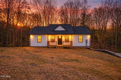 Photo of 6055 Newport Highway, Greeneville, TN 37743 (MLS # 9993318)