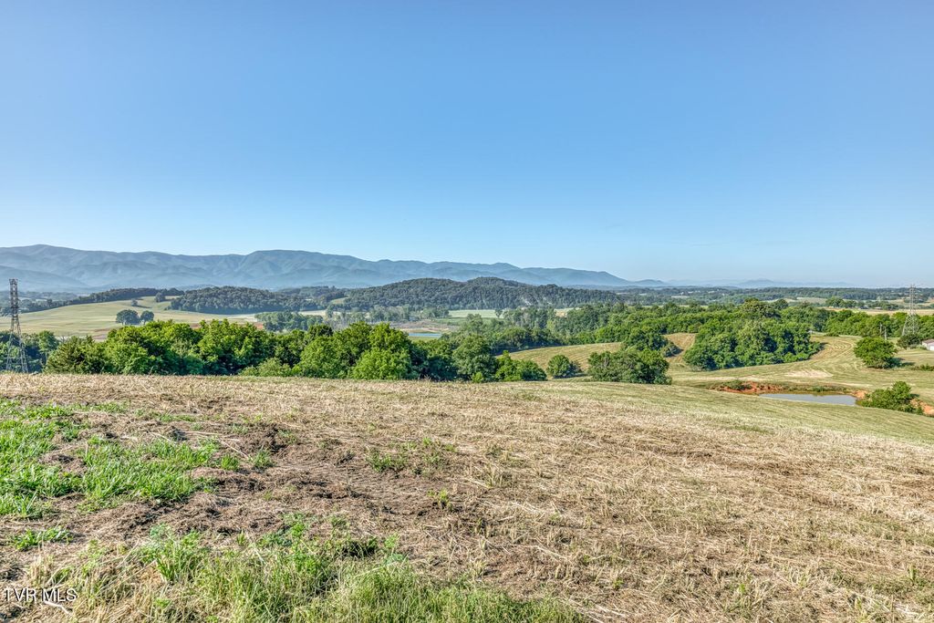 Photo of Tbd John Matthews Rd, Limestone, TN 37681 (MLS # 9995853)