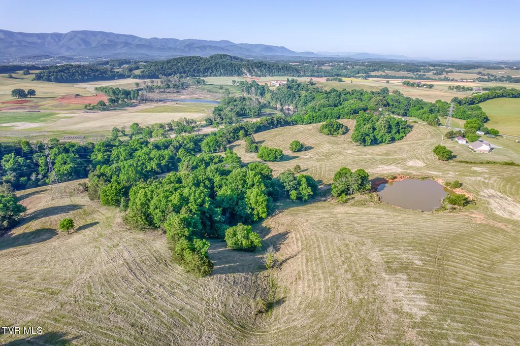 Photo of Tbd John Matthews Rd, Limestone, TN 37681 (MLS # 9995853)