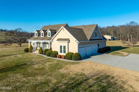 Photo of 287 Saylor Hill Road, Limestone, TN 37681 (MLS # 9990072)