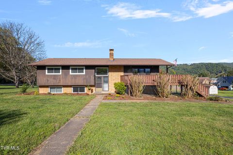 Photo of 317 Simmons Avenue, Erwin, TN 37650 (MLS # 9988877)