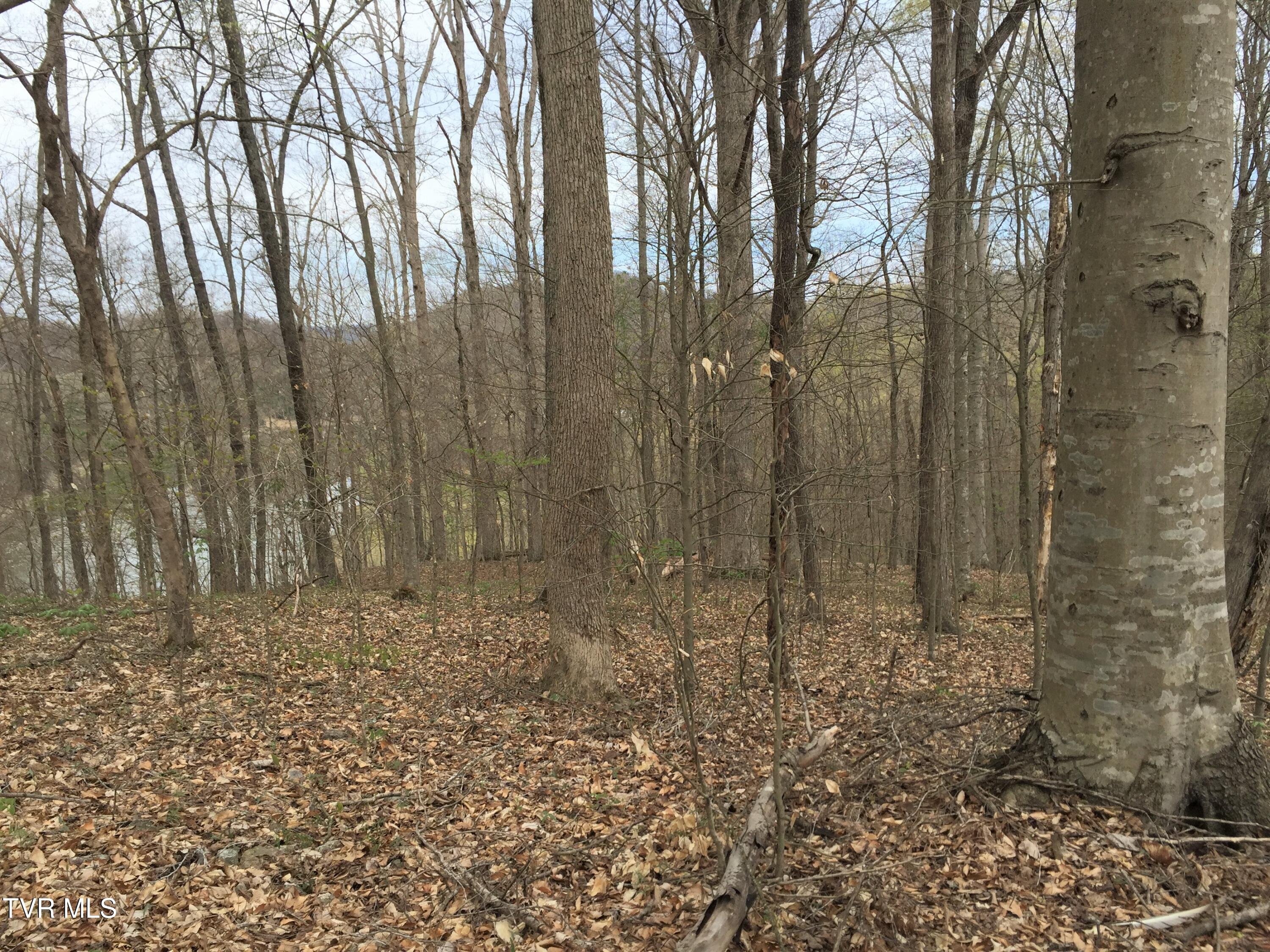 00 Horseshoe Bend Road, Rogersville, Tennessee image 1