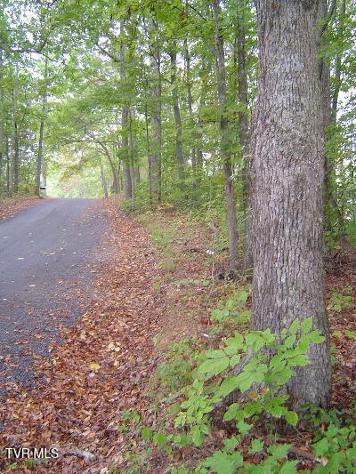 00 Horseshoe Bend Road, Rogersville, Tennessee image 6