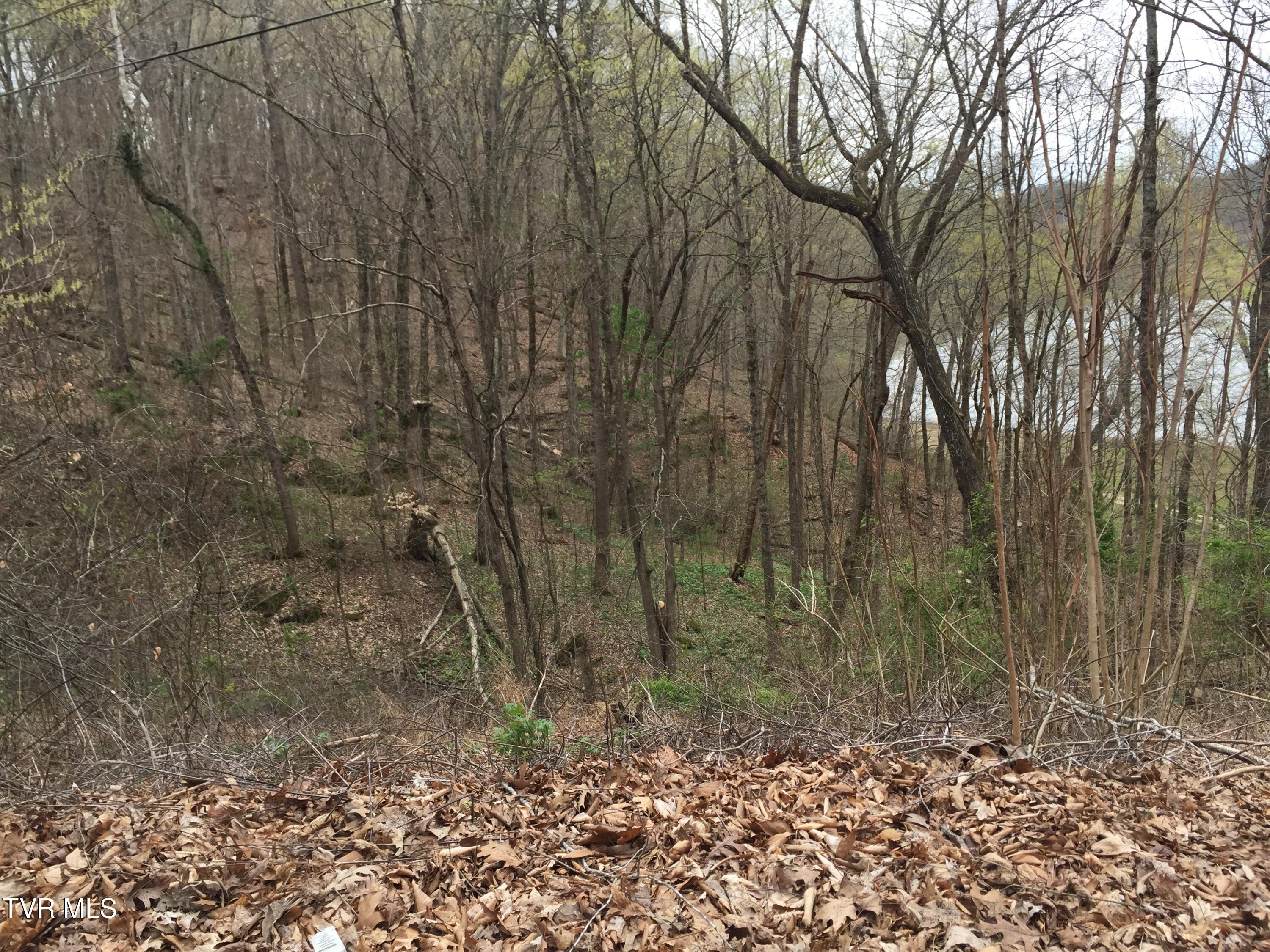00 Horseshoe Bend Road, Rogersville, Tennessee image 5