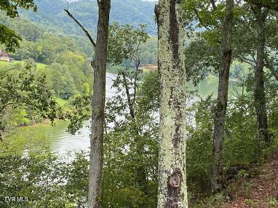 00 Horseshoe Bend Road, Rogersville, Tennessee image 2