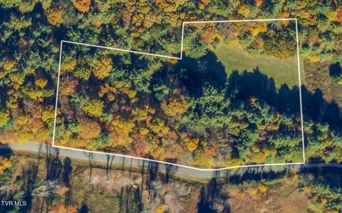 Vacant Land For Sale - 00 Laurelwood Drive<br/> Johnson County, Mountain City, TN 37683