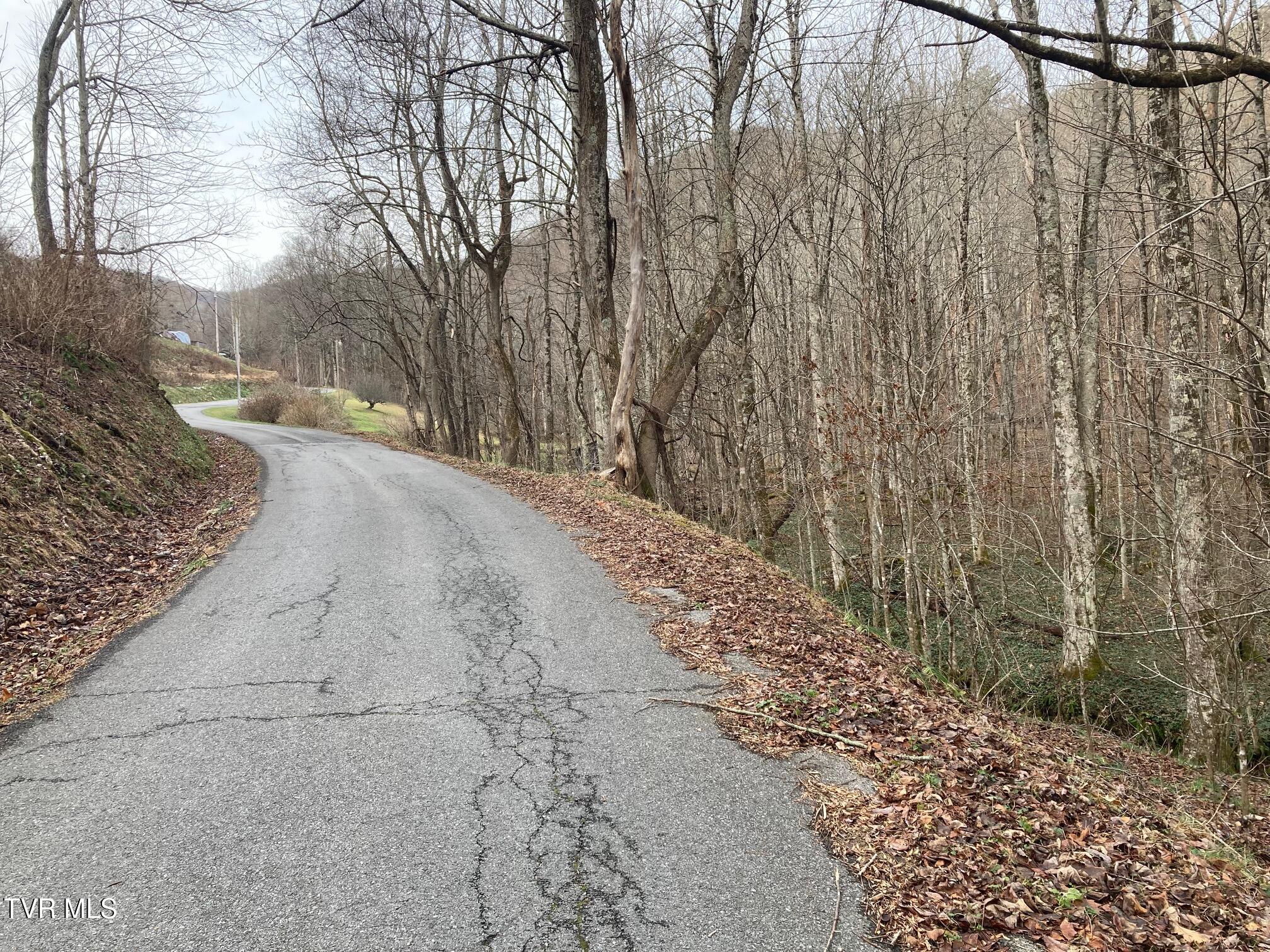 Tbd Rice Creek Rd, Flag Pond, Tennessee image 3