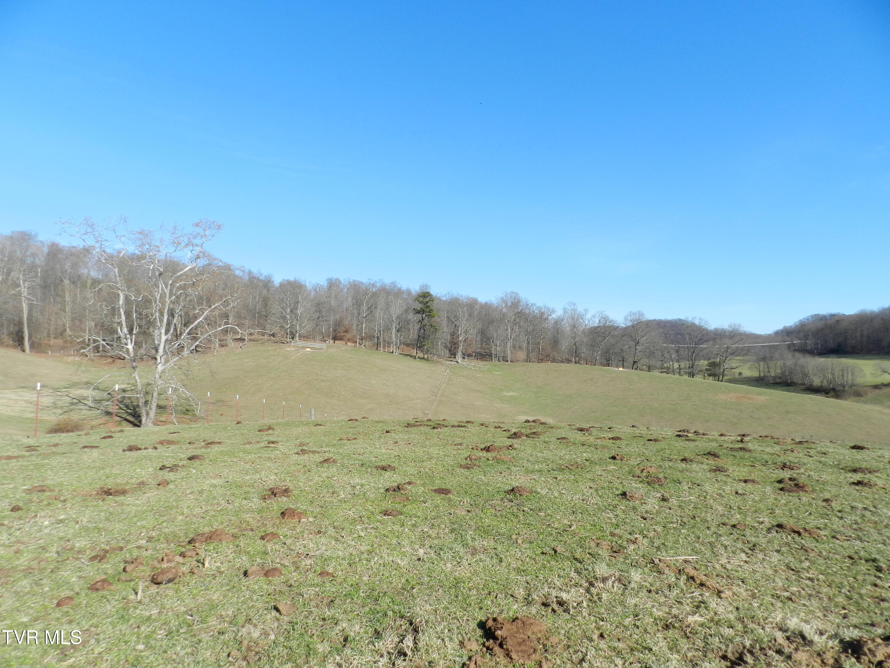 420 Watterson Gap Road, Surgoinsville, Tennessee image 46