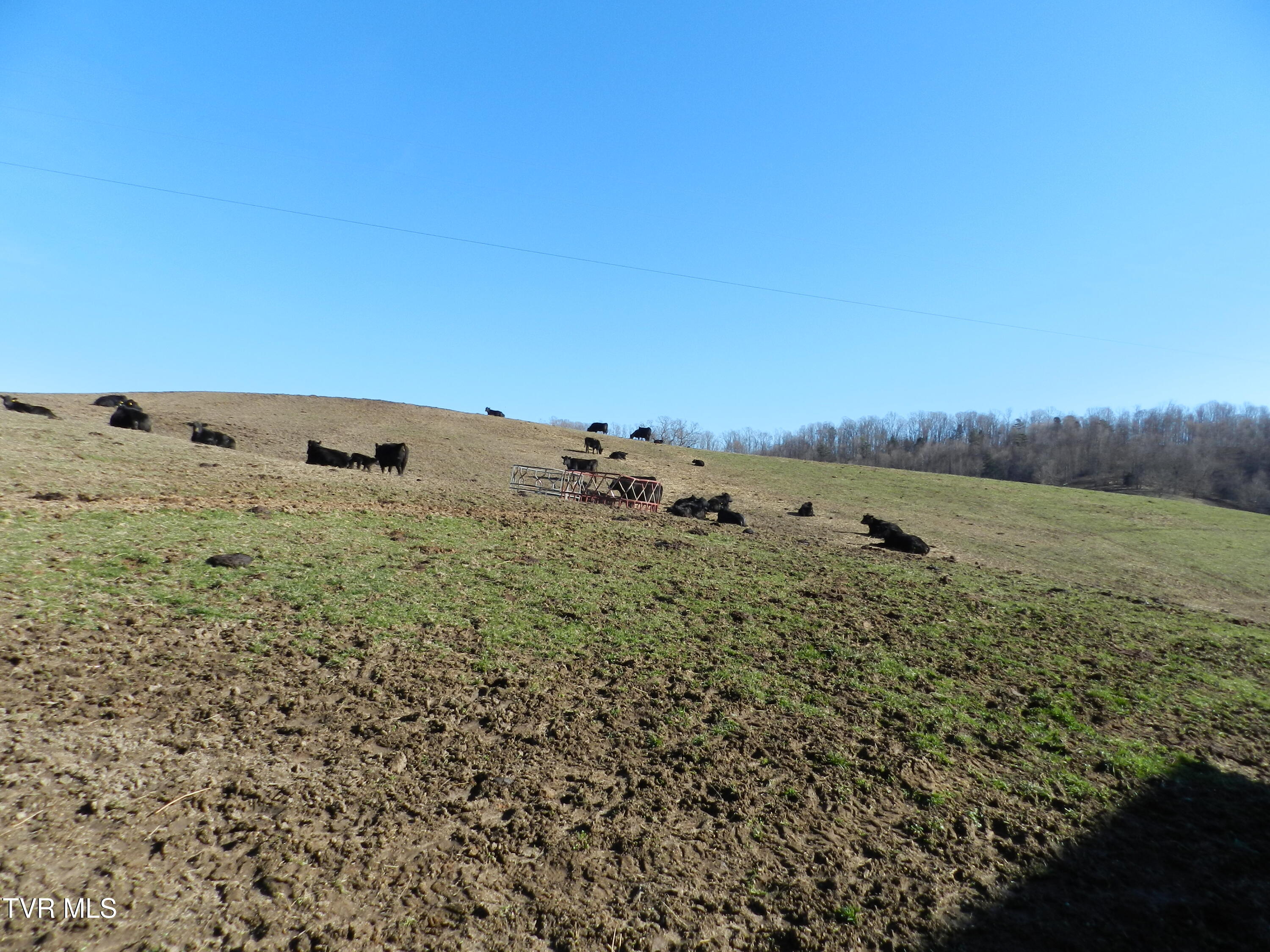 420 Watterson Gap Road, Surgoinsville, Tennessee image 41