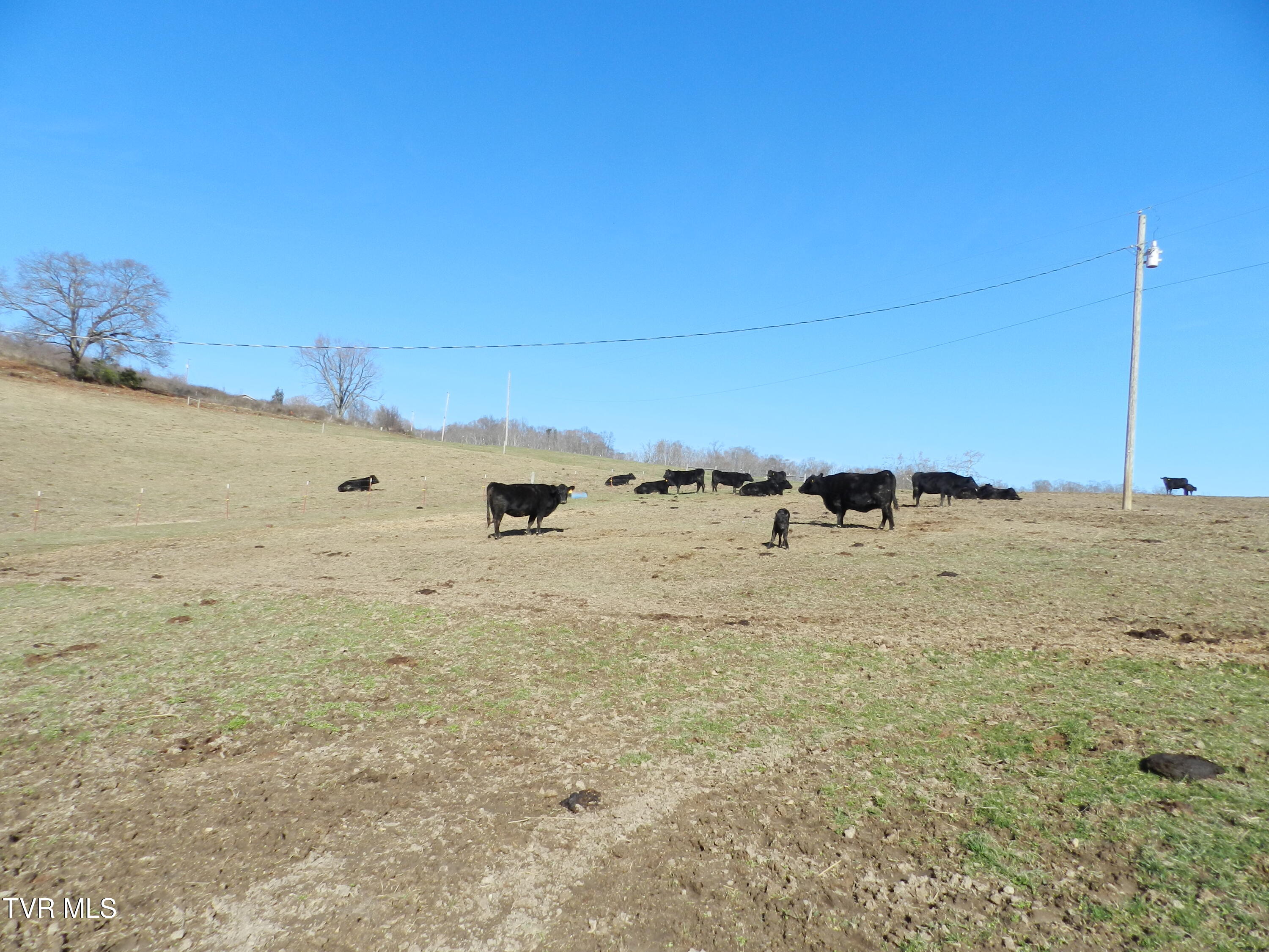 420 Watterson Gap Road, Surgoinsville, Tennessee image 40