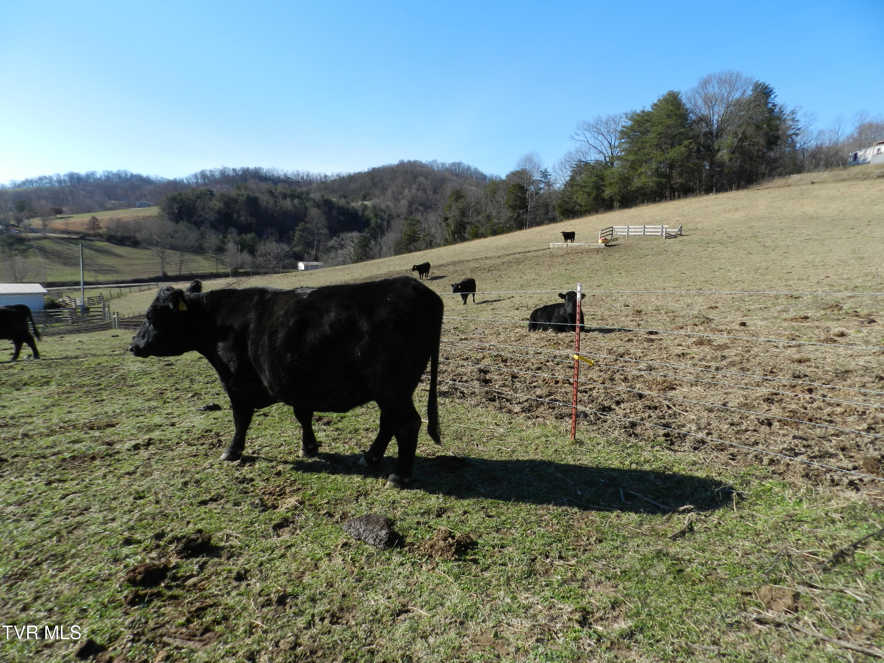 420 Watterson Gap Road, Surgoinsville, Tennessee image 43