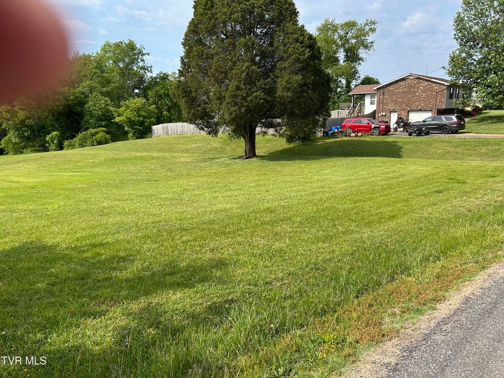 Photo of 5552 Thompsie Drive, Russellville, TN 37860 (MLS # 9994869)