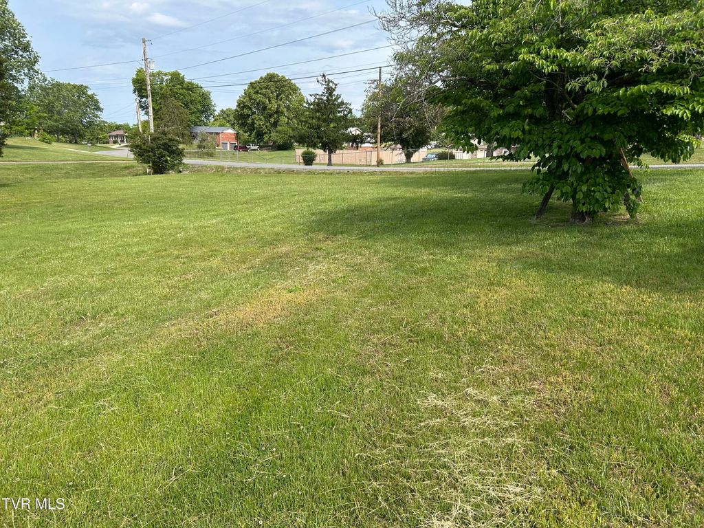 Photo of 5552 Thompsie Drive, Russellville, TN 37860 (MLS # 9994869)