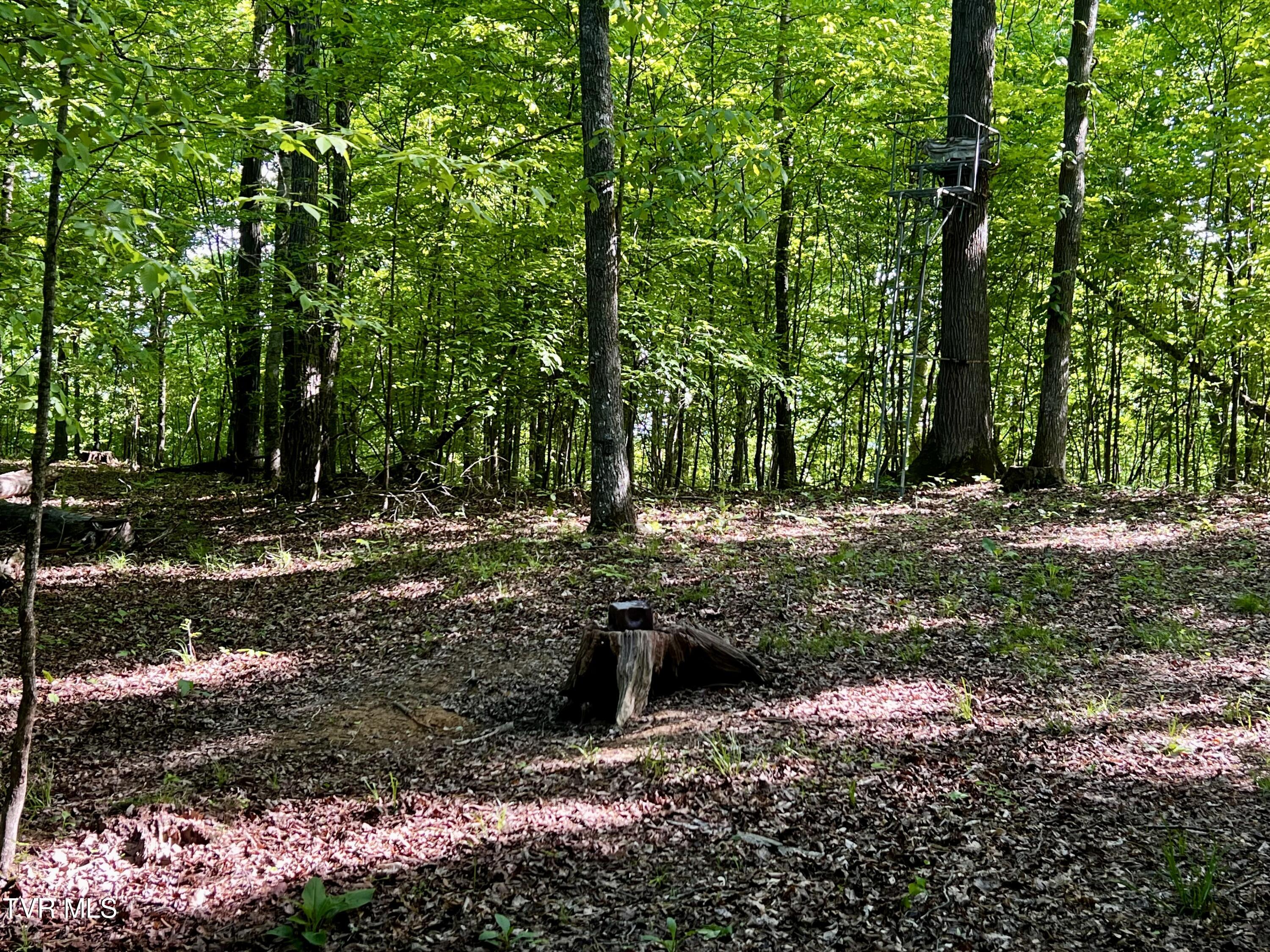 4045 Mohawk Road, Midway, Tennessee image 32