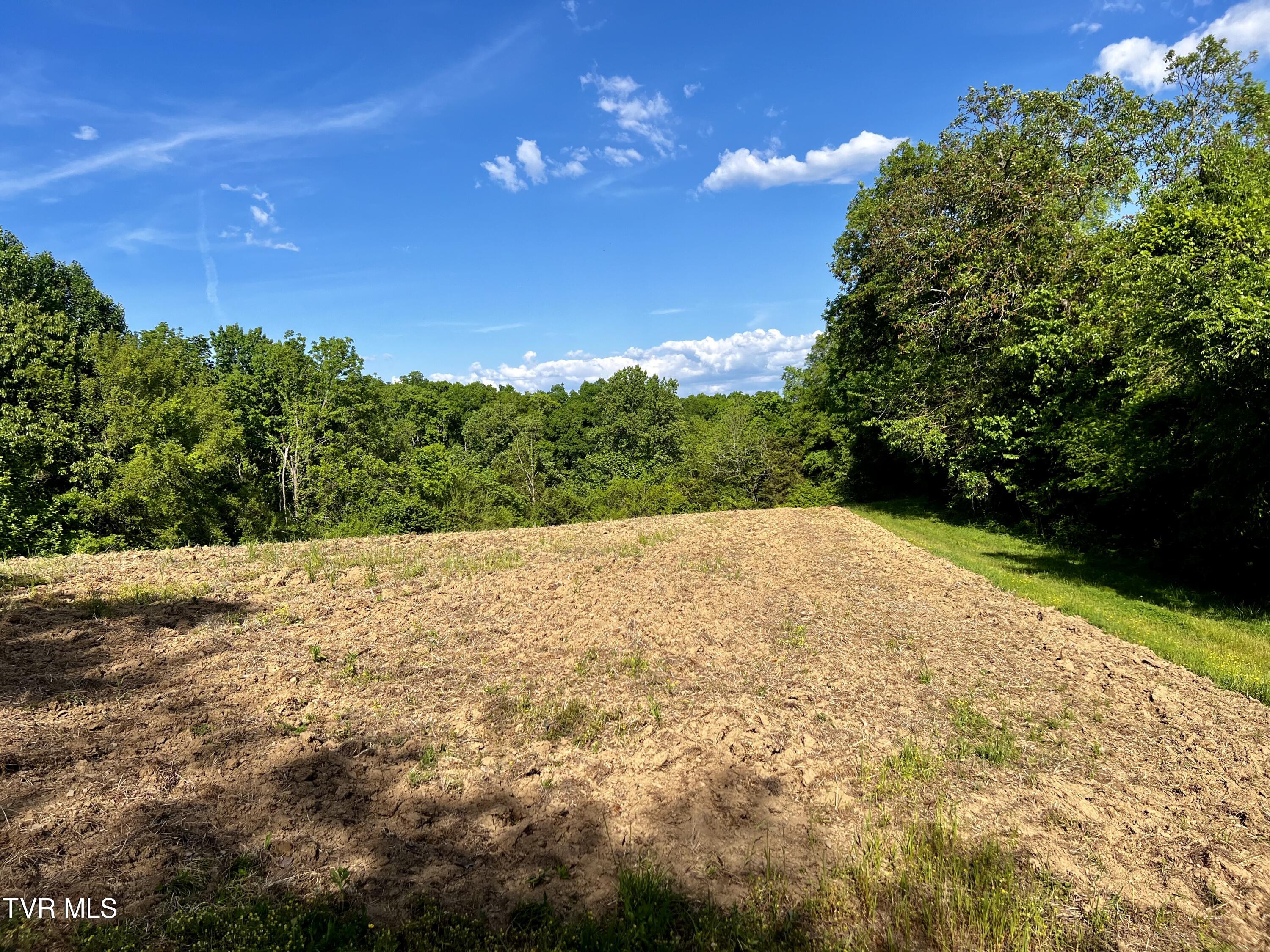 4045 Mohawk Road, Midway, Tennessee image 47