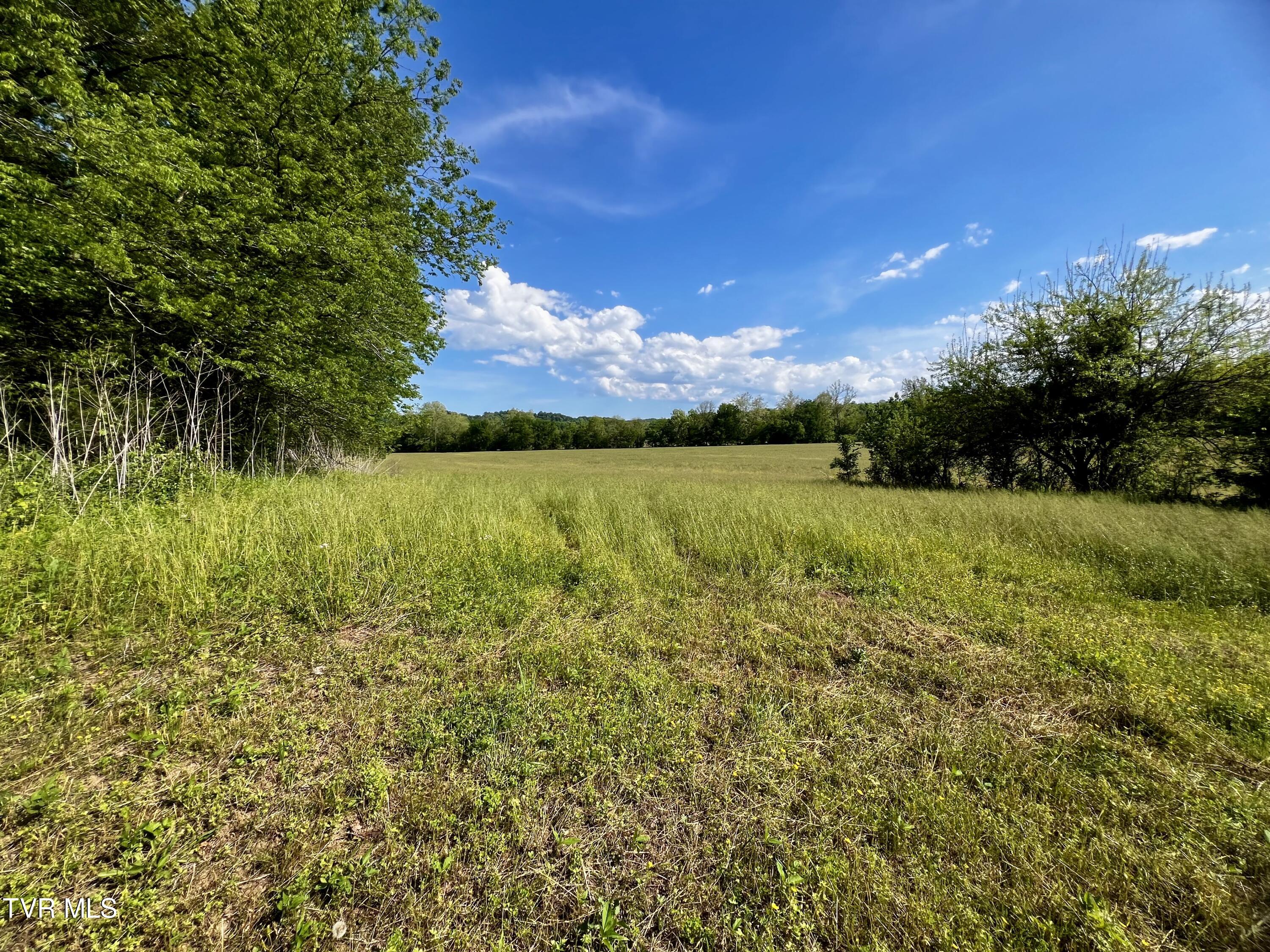 4045 Mohawk Road, Midway, Tennessee image 23