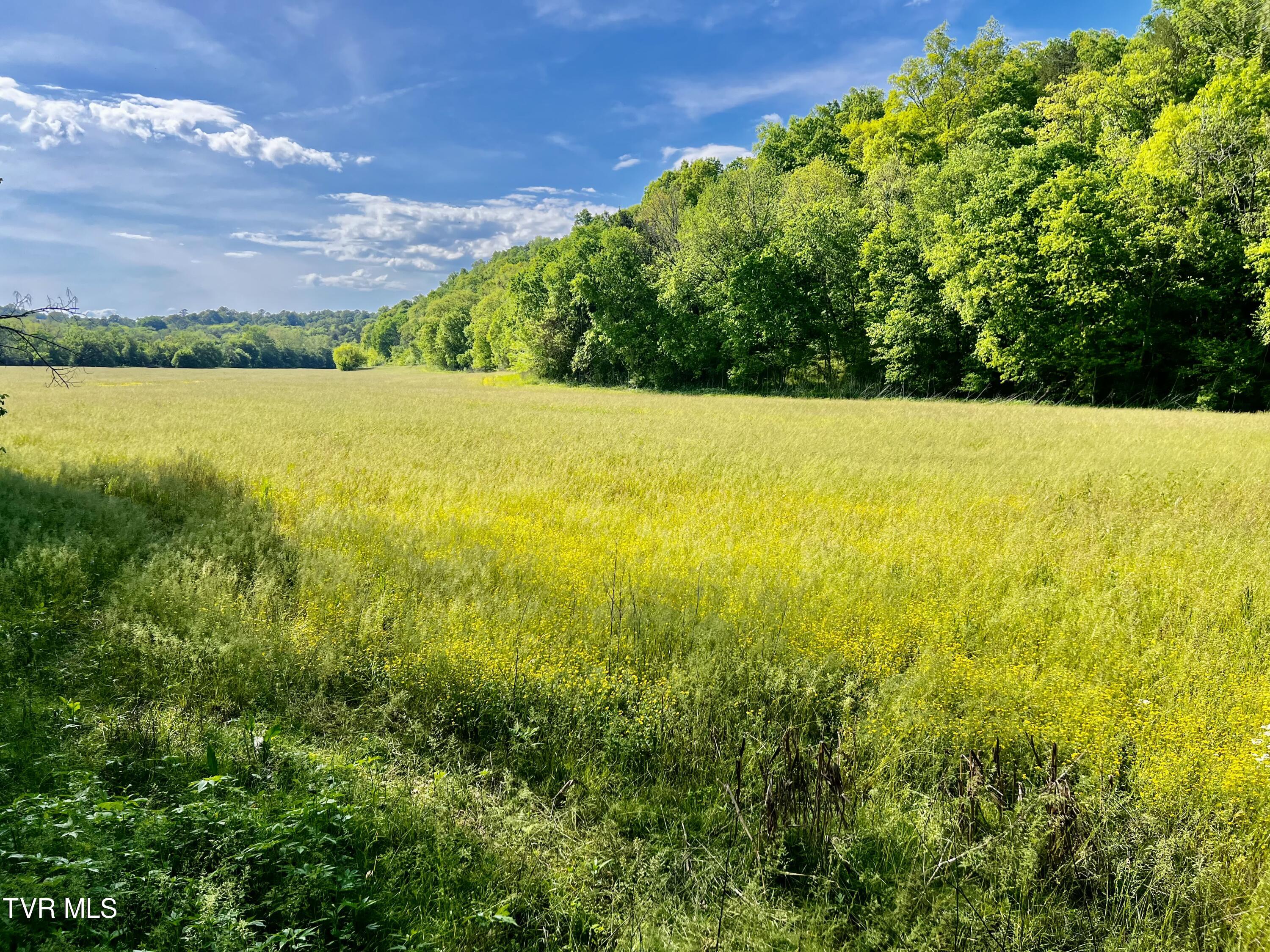 4045 Mohawk Road, Midway, Tennessee image 27