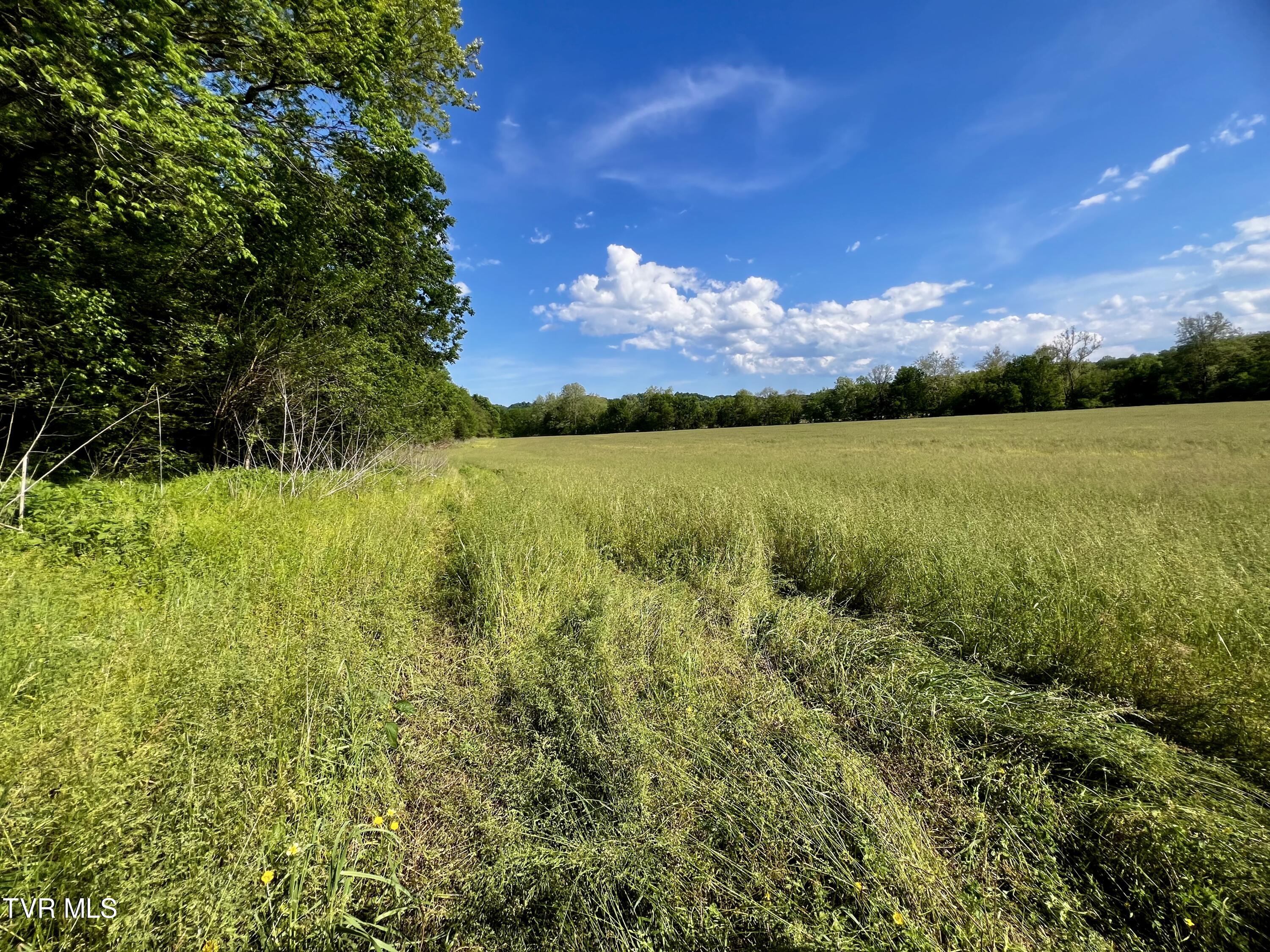 4045 Mohawk Road, Midway, Tennessee image 26