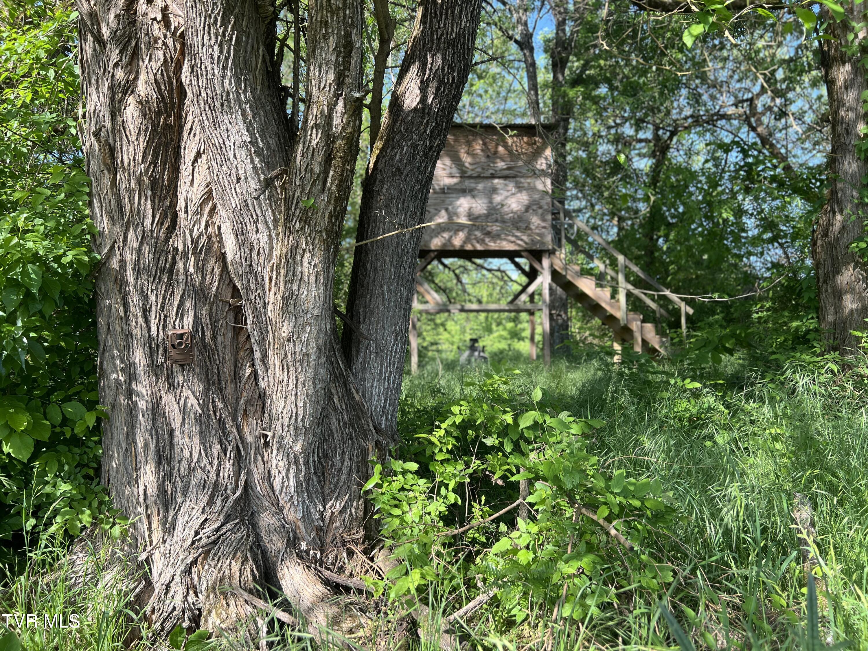 4045 Mohawk Road, Midway, Tennessee image 38